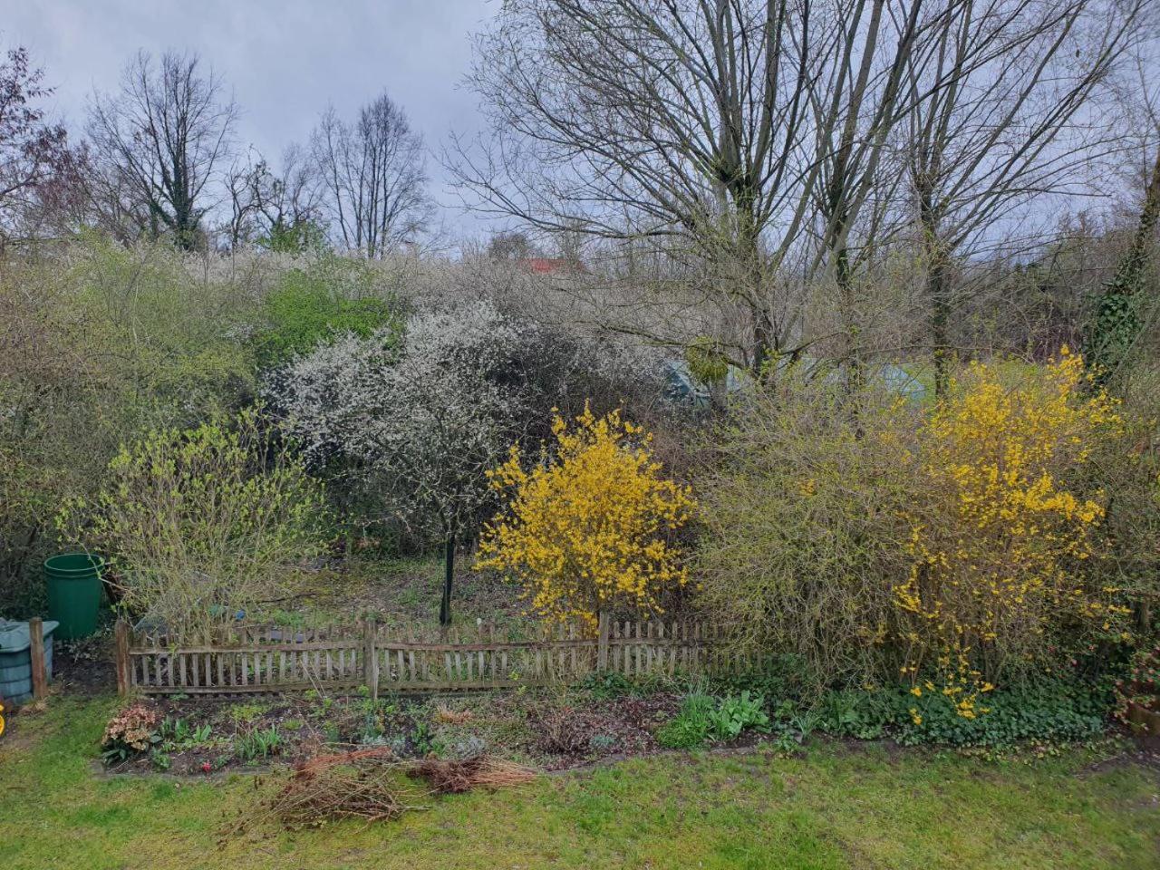 Gemuetliche Ferienwohnung Postupim Exteriér fotografie